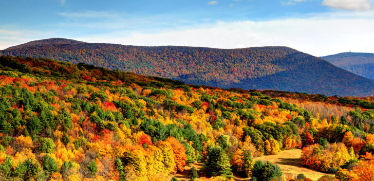 Das bunte Herbstlaub sorgt in den Berkshires für farbenfrohe Wälder.