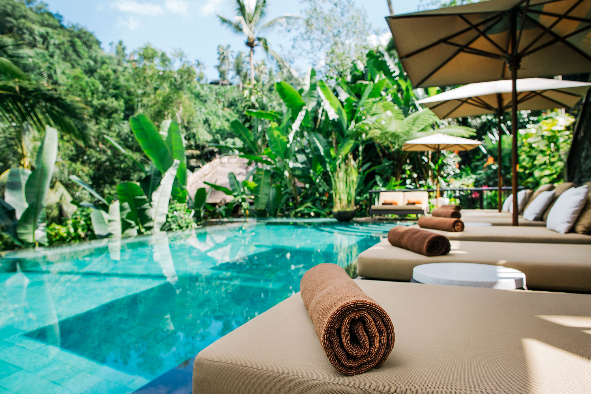 An einem tropischen Swimmingpool warten Liegestühle mit frischen Handtüchern auf ihre Gäste.