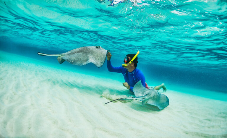 Schwimmen mit Stachelrochen auf Grand Cayman